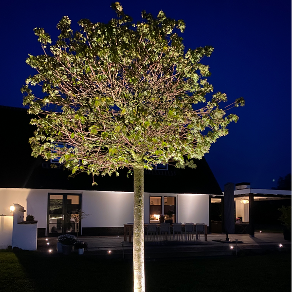 Ilva prikspot | 3 watt